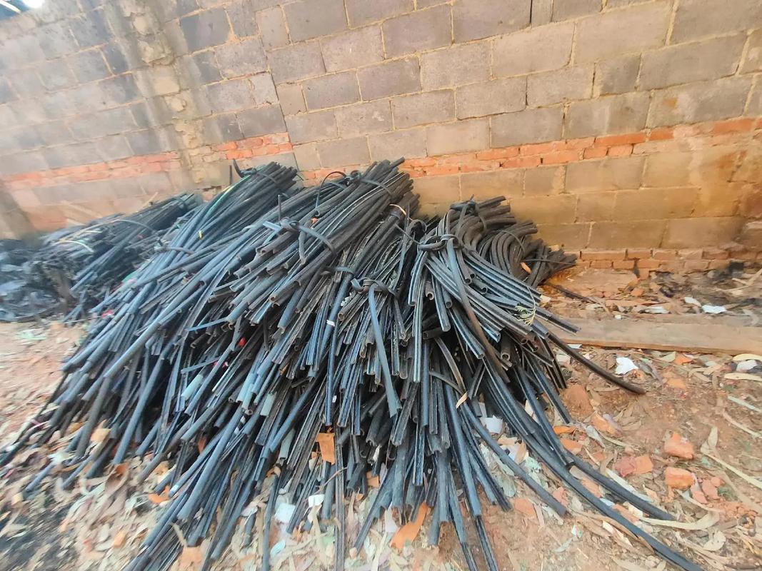 亚洲人妻av伦理 人妻咱看看未来咋办