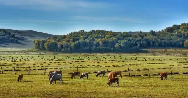 精品人妻无码一区二区三区404 确保了资源层次分明