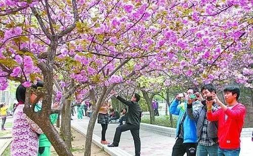 火影忍者白本子