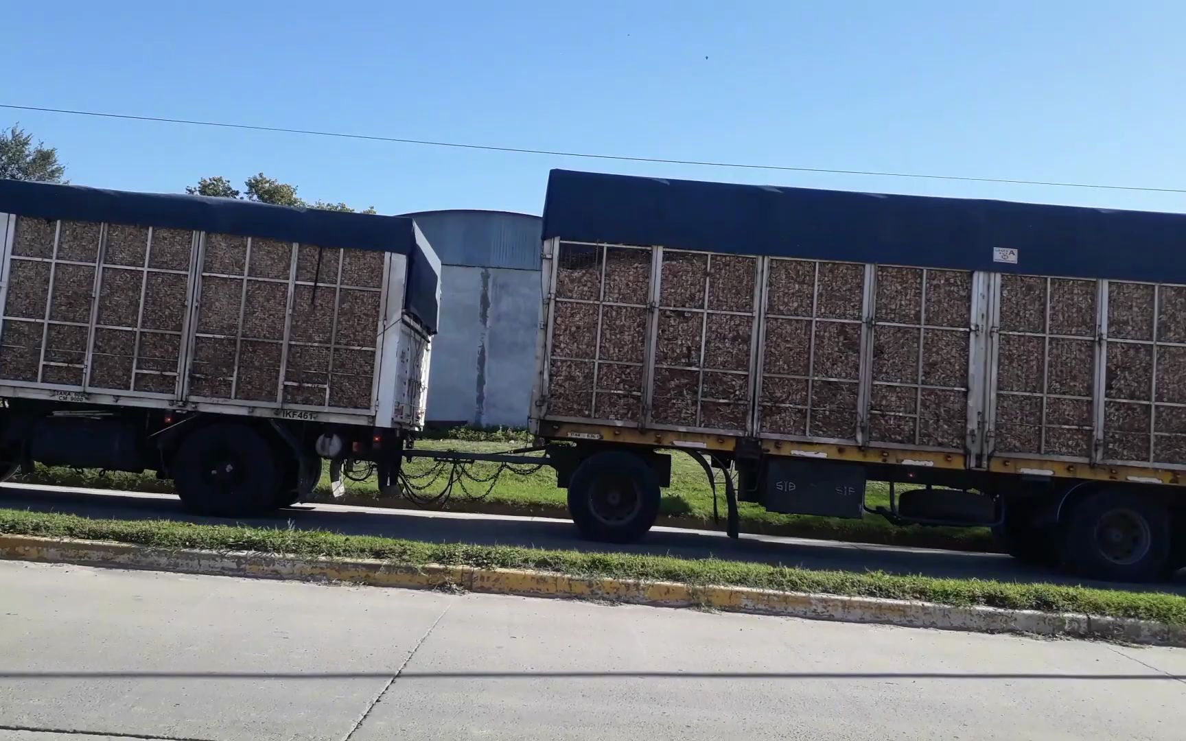 99久久久无码国产精品试看 一股“精品化”浪潮席卷而来