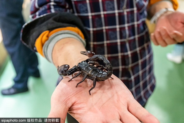 线上里番 我非常乐意为你提供帮助