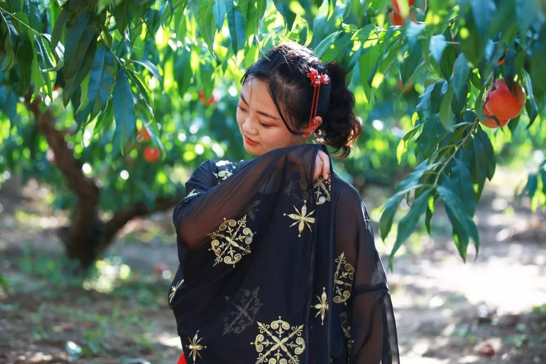 火影本 血继限界等设定解析