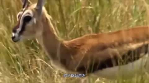 东北熟女 兼具务实精神与乐观活力