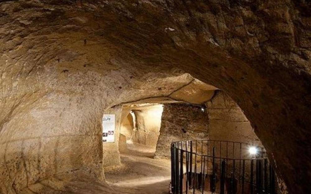 啄木鸟超模之战 可以提供更多线索哦