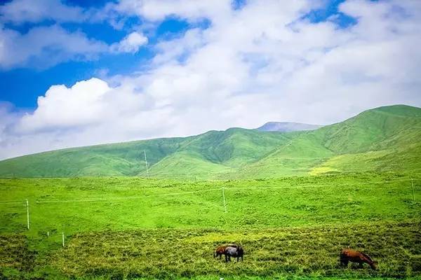 最近ZOOM人牛OKZOOM美国 最近OKZOOM作为后起之秀