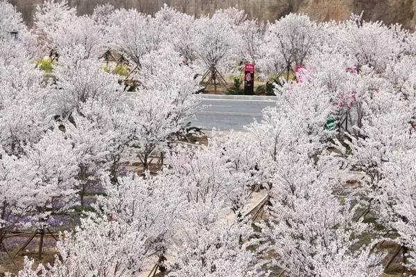 高清视频在线a骗 高清欺诈广告的视频页面
