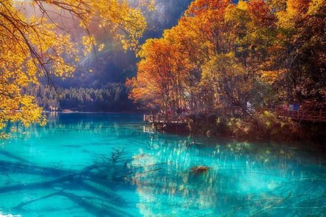 火影忍者本子仙人掌 欢迎提供更多具体方向