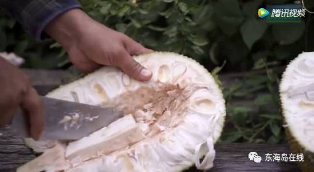 某体校运动潘诗缘