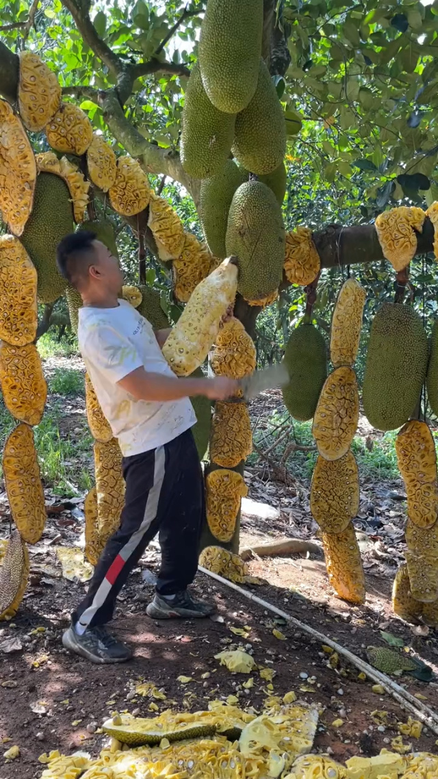 某体校运动潘诗缘 诗缘器械运用熟练等方面