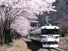 花蝴蝶看片日本大全 我通过平台追完了全季