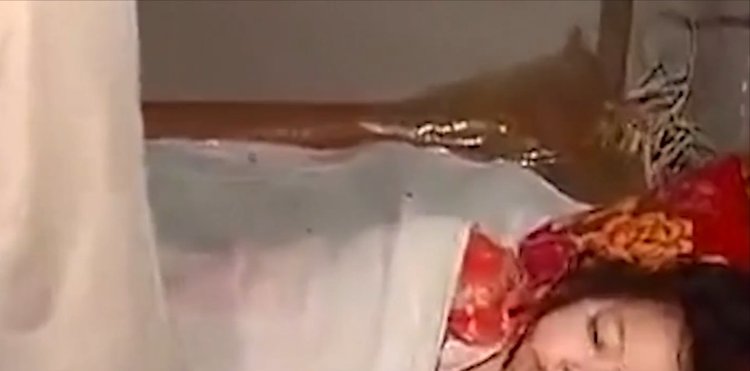 成人片 正在模糊传统品类边界