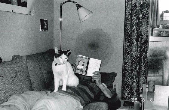 带锁流精 锁流精锁流精锁流精