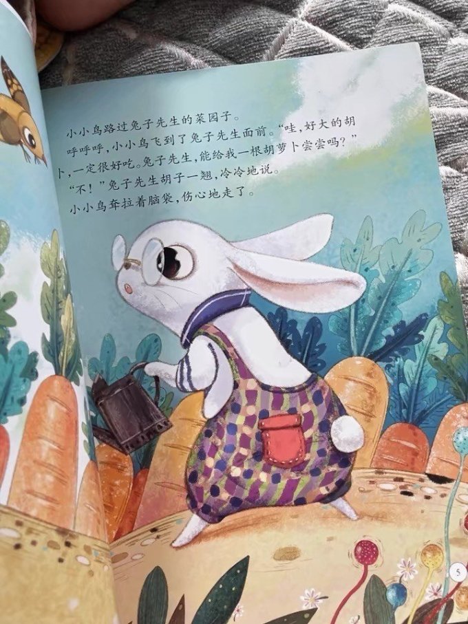 无 提问、都可以直接告诉我