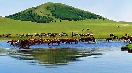 亚洲精彩 亚洲精彩东南亚电商增长