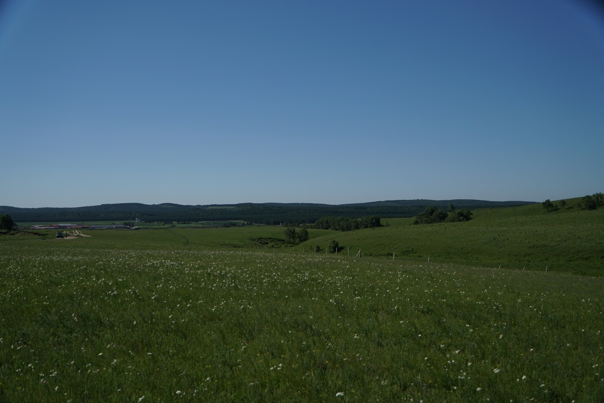 海角51暗网夜刀神狗 使其成为暗网安全研究的利器