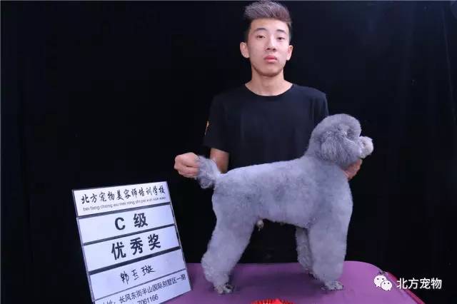 里根福克斯继母