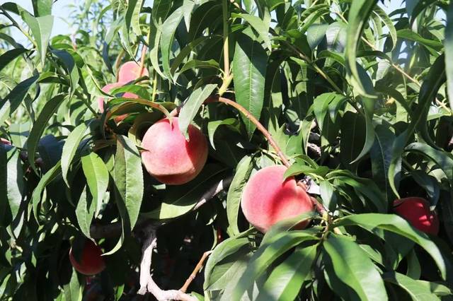 精品亚洲日韩一区二区午夜电影网