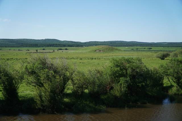 大艺术嘉的啄木鸟系列