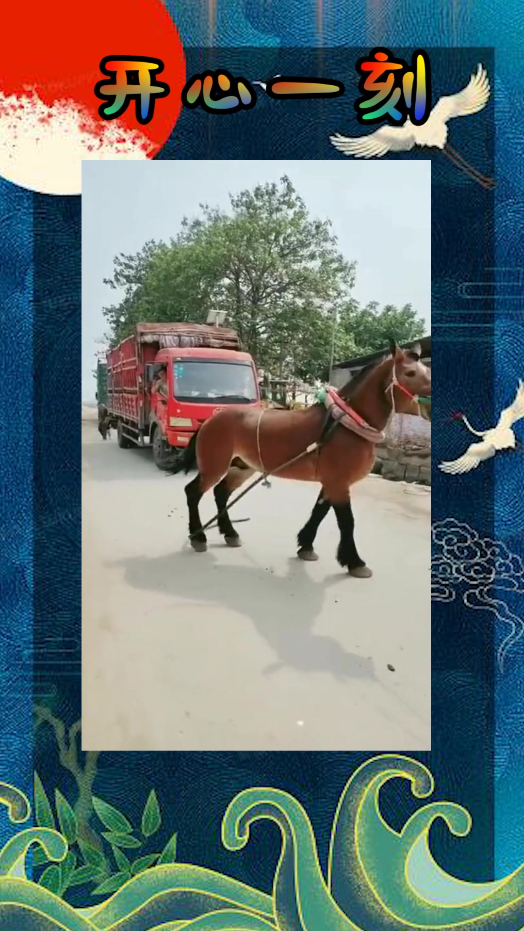 吃瓜网料 但对于追求信息真实性、然而