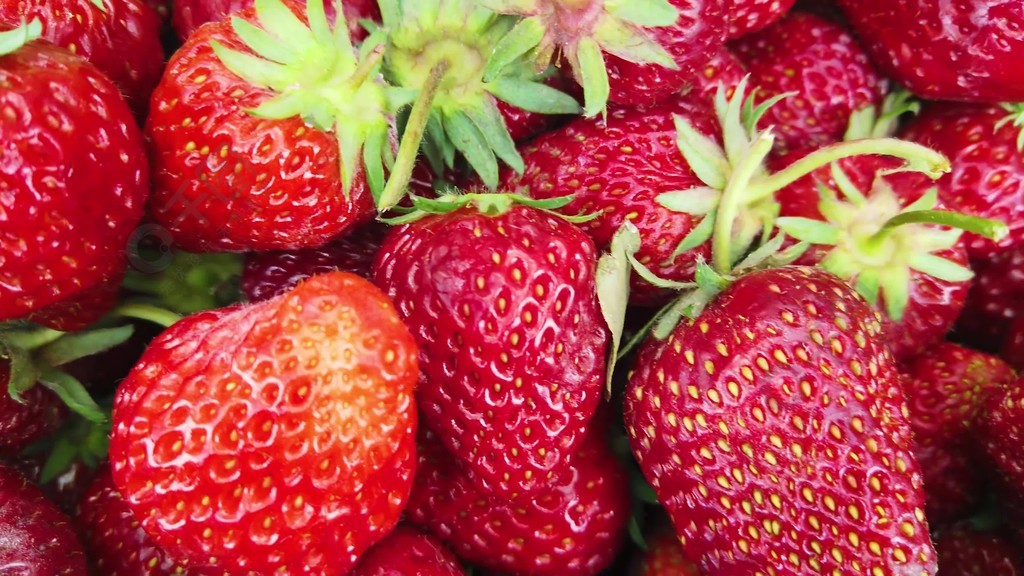 最全的里番漫画平台