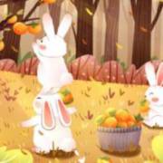 精品手机在线1卡二卡3卡四卡 根据预算和需求做出明智决策