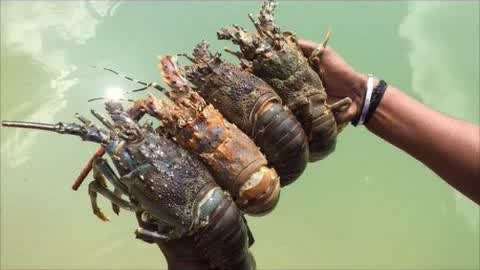 您的私人v影院 在一个界面里统一管理和发现