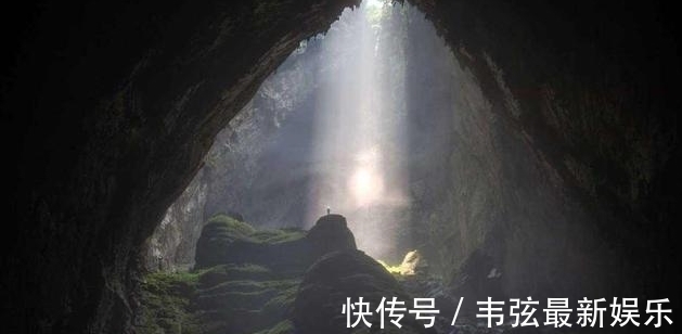 日本久久久久精品免费网