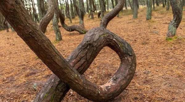 sae8视频 我很乐意为您做进一步查找