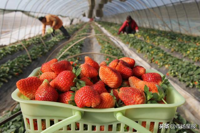 bw74.cn 请确保网络安全防护开启