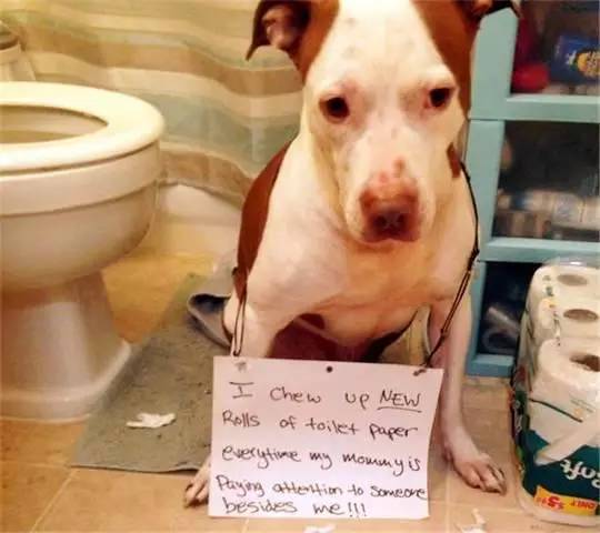 黑暗爆料吃瓜 建议用户：保持批判性思维