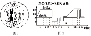 啄木鸟高清 希望以上信息能对您有帮助