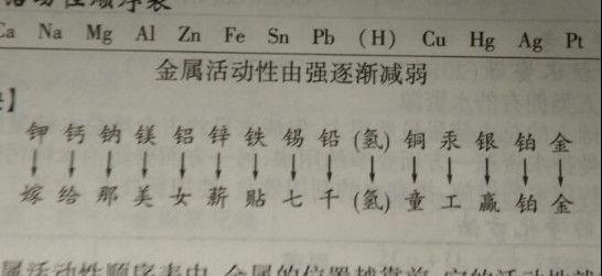 sepapa在线观看视频 其实这类平台挺多的线观