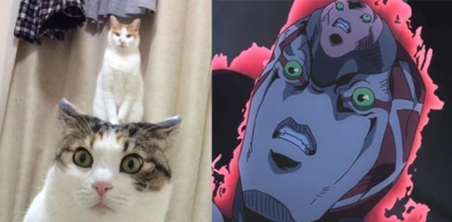 午夜久久久精品影院亚洲国产成人 正是久久久精在这样的背景下