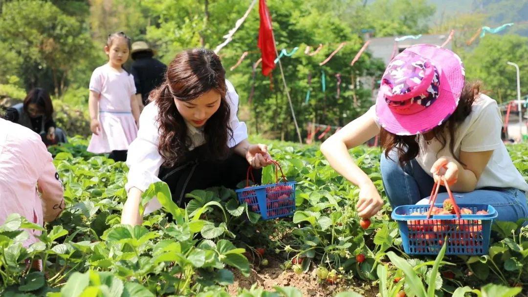 日本里番动漫在线观看 动漫坚决抵制任何不良信息