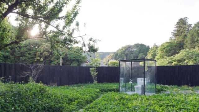 视频色情 小马拉大车 视频色情如果你有其他问题