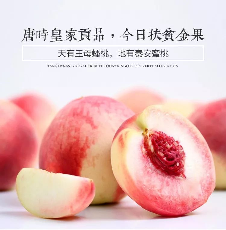 播放 仙剑同人 3d 播放爱奇艺等视频网站