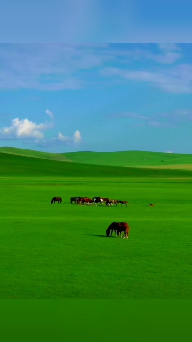 黑料网免费吃瓜独家爆料吃瓜曝光黑料 4. 用户体验受广告干扰严重