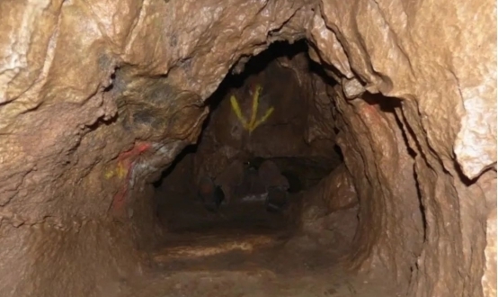 clarkandmartha视频 我非常乐意为你提供帮助