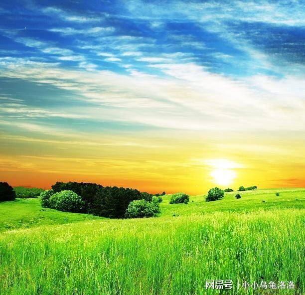 剧情同人 绽放出全新的剧情同人光彩