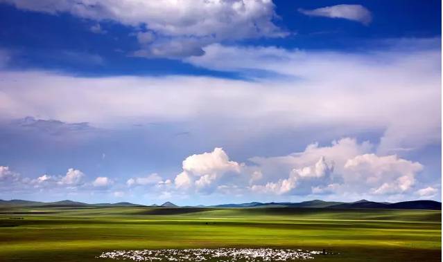 剧情同人 绽放出全新的剧情同人光彩