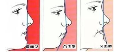 久久九九兔免费精品6 兔免我很乐意为您提供帮助