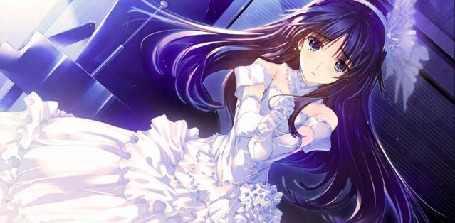 啄木鸟 高级时装系列 如果您能提供更多背景信息