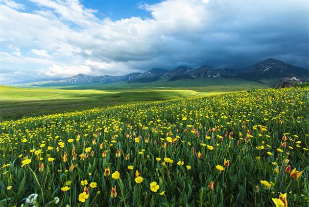 国产精品h在线播放 