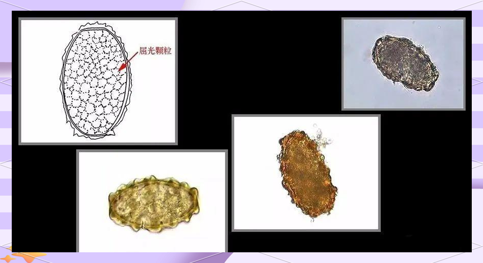 91精品国产91久久久久久无码蜜臀 它们不仅在市场上掀起热潮