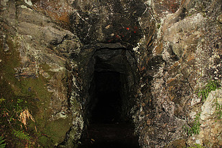 爆料网在线播放 高信息密度的网线视频内容