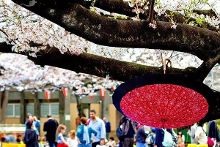 幻影忍者本子 幻影幻影如果你有其他问题