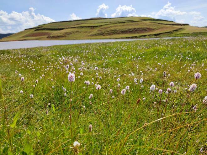 北京宏图辉映文化传媒有限公司 招标