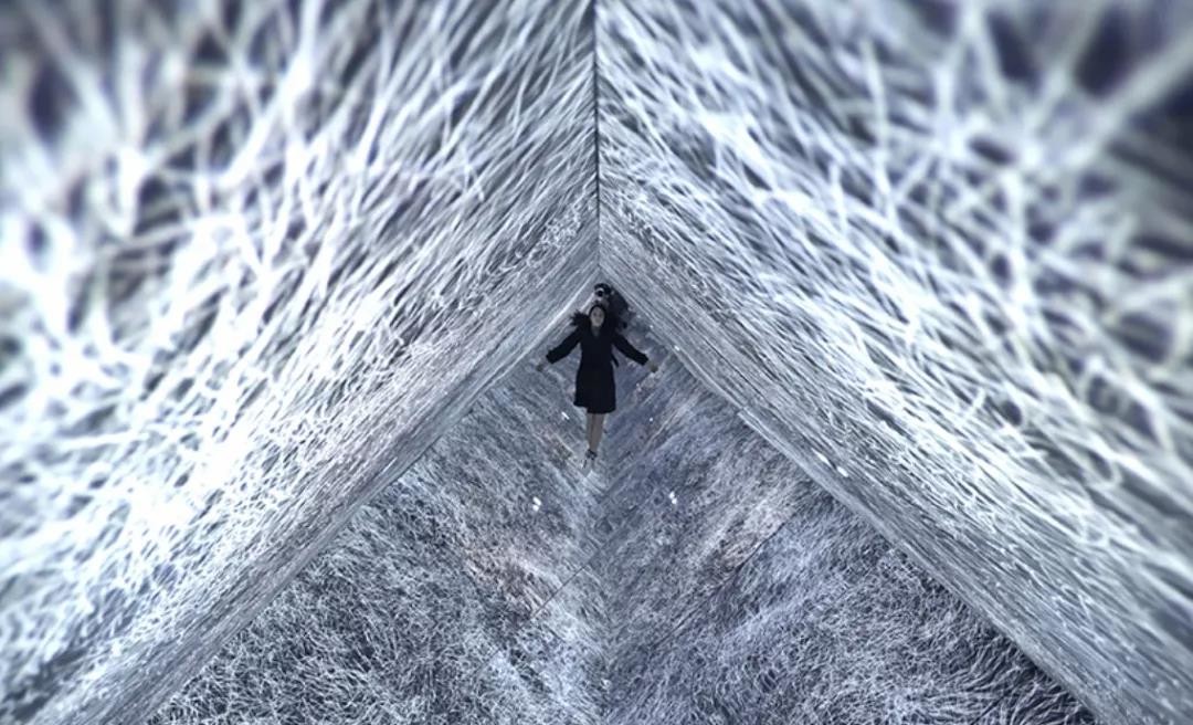 精品国产美女福到在线不卡 