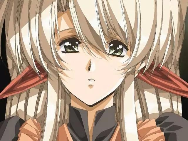 啄木鸟满天星q点