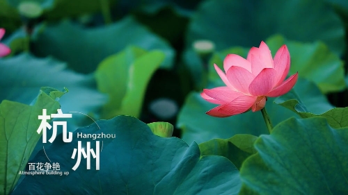 好痒视频 我很乐意提供其他支持